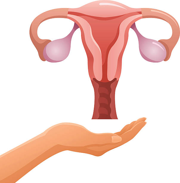 ilustración vagina sequedad