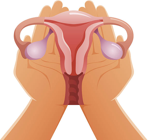 óvulos sequedad vaginal mujer